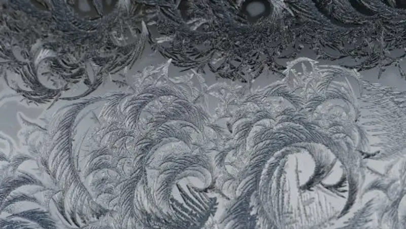 Занятия для начальных классов отменены в ВКО