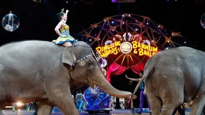 Zakon.kz, фото - Новости Zakon.kz от 22.05.2017 20:50