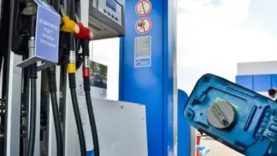 Zakon.kz, фото - Новости Zakon.kz от 23.05.2017 15:22