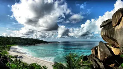 Сайт о природе и животных, фото - Новости Zakon.kz от 09.07.2019 13:57