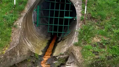 Экологи проверяют реку в Жетысуской области, куда сливали нечистоты , фото - Новости Zakon.kz от 10.07.2023 03:53