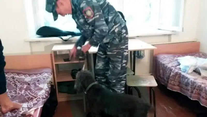 В Петропавловске наркоборцы прошлись с рейдами по студенческим общежитиям