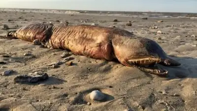 Zakon.kz, фото - Новости Zakon.kz от 14.09.2017 20:41