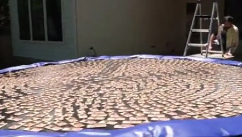 Американец попрыгал на батуте с тысячью заряженных мышеловок