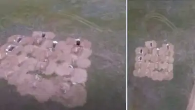 31 канал, фото - Новости Zakon.kz от 26.05.2020 11:16