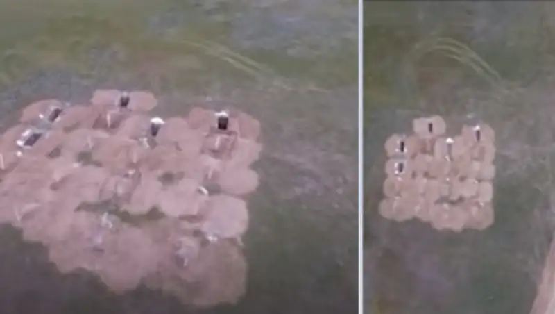 На ковид-кладбище под Алматы похоронены 32 человека