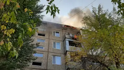 пресс-служба КЧС МВД РК, фото - Новости Zakon.kz от 16.10.2019 16:09