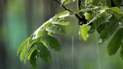 Zakon.kz, фото - Новости Zakon.kz от 30.05.2016 14:30