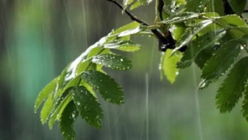 Дожди, местами с грозой, пройдут в понедельник на большей части Казахстана