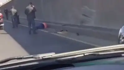 Zakon.kz, фото - Новости Zakon.kz от 02.10.2017 12:24