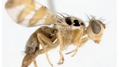 Zakon.kz, фото - Новости Zakon.kz от 16.08.2017 17:36