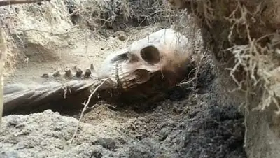 Zakon.kz, фото - Новости Zakon.kz от 21.12.2015 21:31