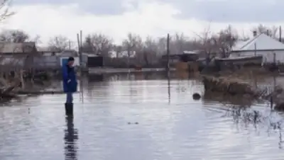 Zakon.kz, фото - Новости Zakon.kz от 12.05.2015 20:59