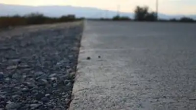 Zakon.kz, фото - Новости Zakon.kz от 10.05.2017 17:15