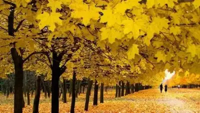 Zakon.kz, фото - Новости Zakon.kz от 14.09.2016 23:20