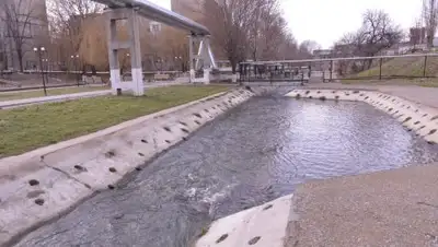 Пресс-служба акима ЮКО, фото - Новости Zakon.kz от 25.12.2017 16:18