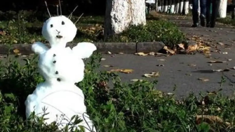 В Акмолинской области выпал снег