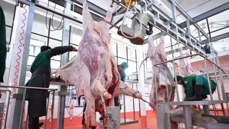 ЮКО за восемь месяцев экспортировала около 3 тыс. тонн мяса