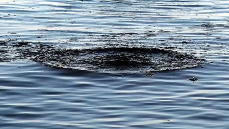 Стали известны подробности о гибели мужчины в Сайране в Алматы