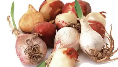 Zakon.kz, фото - Новости Zakon.kz от 18.09.2014 14:50