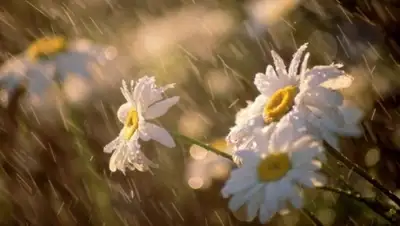 Zakon.kz, фото - Новости Zakon.kz от 08.07.2015 14:22