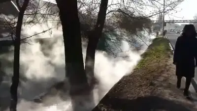 Zakon.kz, фото - Новости Zakon.kz от 23.11.2017 17:58