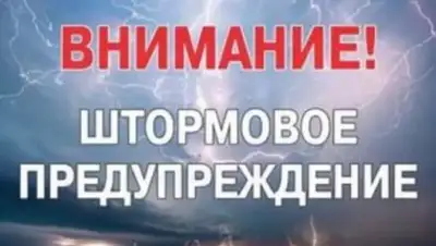 24.kz, фото - Новости Zakon.kz от 01.06.2020 16:06