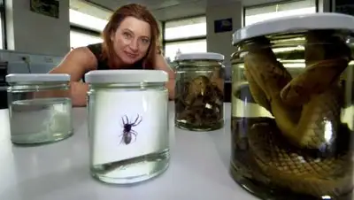 Zakon.kz, фото - Новости Zakon.kz от 19.01.2017 23:34