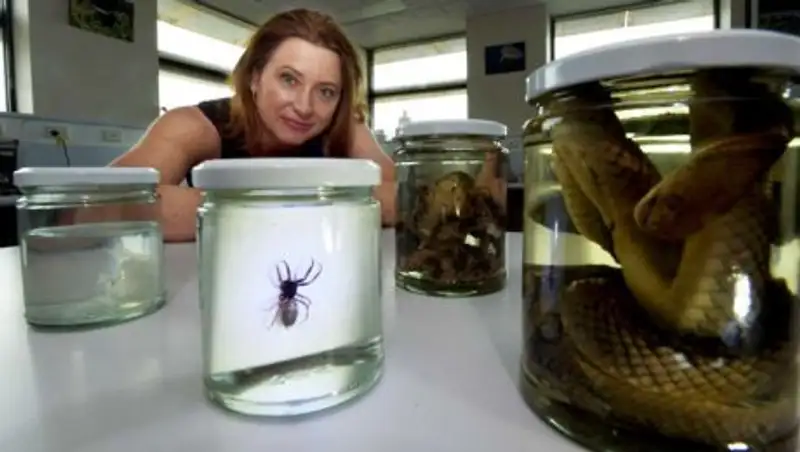 Названо самое опасное для людей животное Австралии