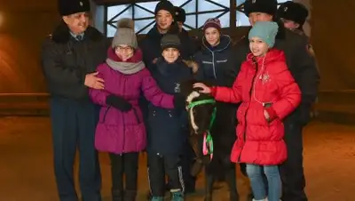 Zakon.kz, фото - Новости Zakon.kz от 29.12.2017 15:13