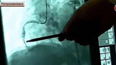 Zakon.kz, фото - Новости Zakon.kz от 05.02.2016 07:56