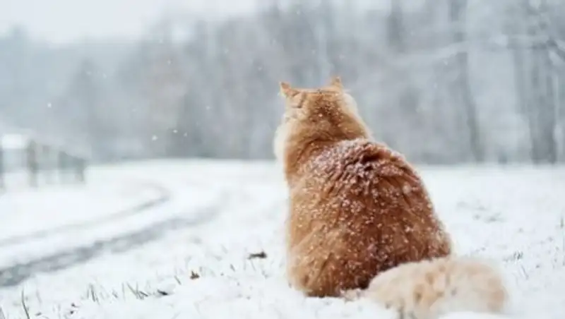 В субботу казахстанцев ожидают осадки