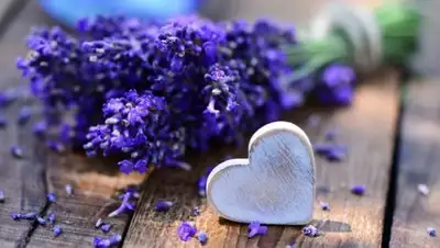 Zakon.kz, фото - Новости Zakon.kz от 17.09.2016 03:07