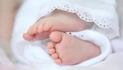 Zakon.kz, фото - Новости Zakon.kz от 13.10.2017 10:17