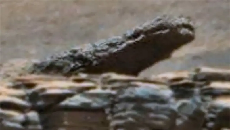 Астроном-любитель обнаружил каменного крокодила на Марсе