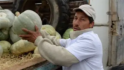 Zakon.kz, фото - Новости Zakon.kz от 19.10.2014 20:01