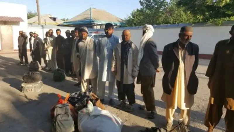  В ЮКО задержали 21 нелегала, промышлявшего незаконным сбором лекарственных растений