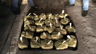 ДВД Акмолинской области, фото - Новости Zakon.kz от 17.03.2018 18:52