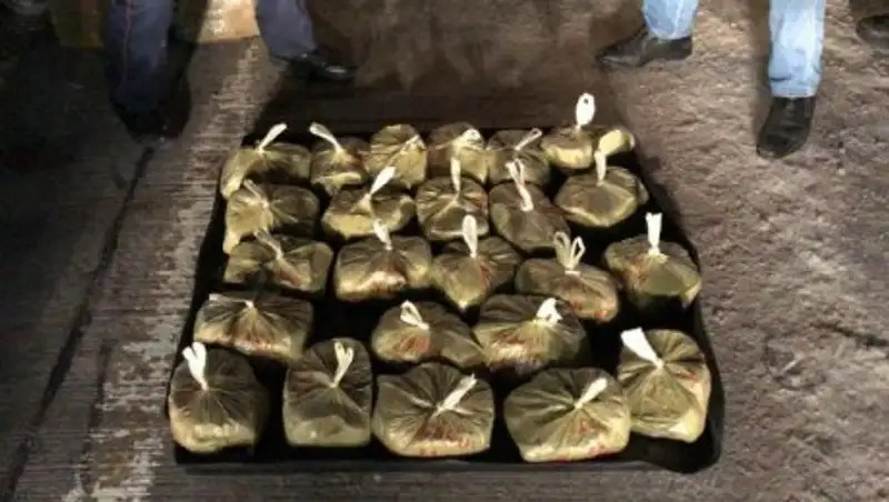 У жителя Астаны изъяли наркотики на $140 тысяч