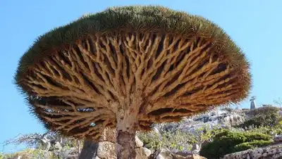 Zakon.kz, фото - Новости Zakon.kz от 27.08.2016 15:14