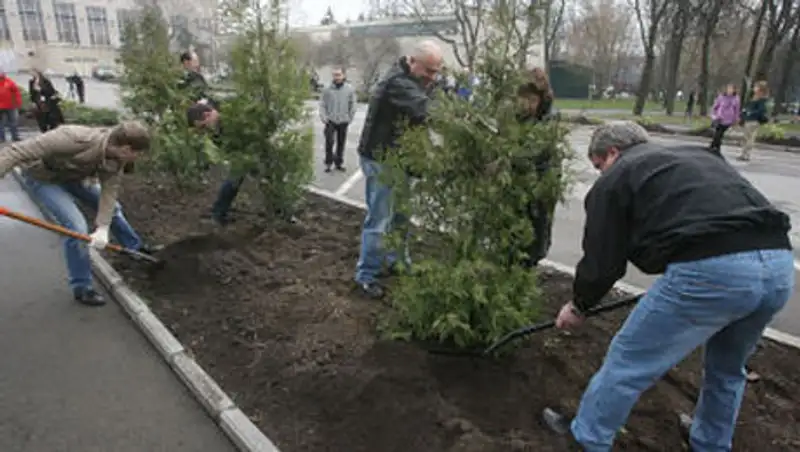 500 деревьев будут посажены во время общегородского субботника в Кокшетау