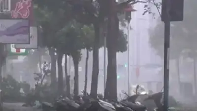 Zakon.kz, фото - Новости Zakon.kz от 23.08.2017 16:36