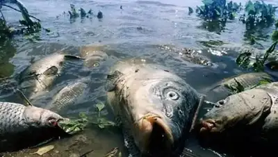 Zakon.kz, фото - Новости Zakon.kz от 03.05.2017 16:18