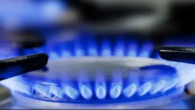 ptzgovorit.ru, фото - Новости Zakon.kz от 29.06.2018 14:50