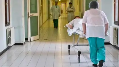 misanec.ru, фото - Новости Zakon.kz от 07.03.2018 15:12