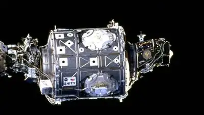 wikimedia.org, фото - Новости Zakon.kz от 13.10.2021 14:31