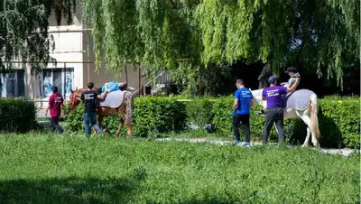 лечение, дети, болезни, лошади, фото - Новости Zakon.kz от 01.06.2022 14:10