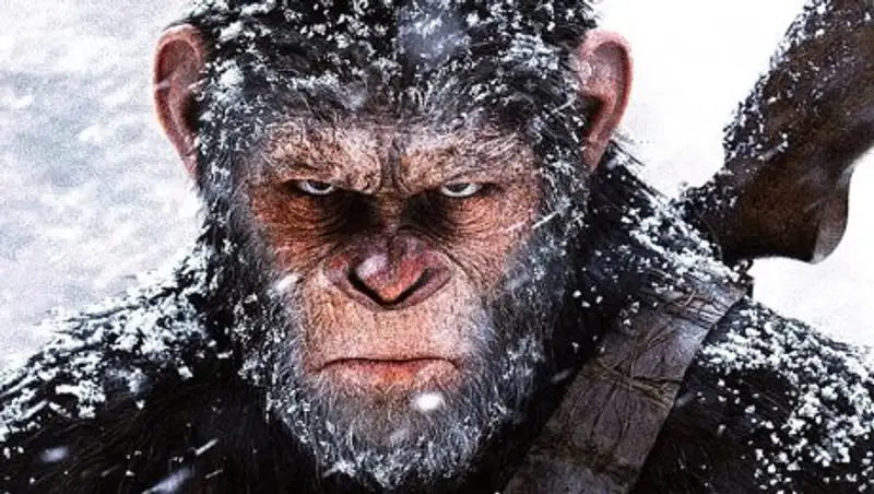 В кинопрокате СНГ лидирует «Планета обезьян. Война»