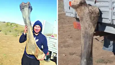 facebook.com, фото - Новости Zakon.kz от 28.09.2019 09:04