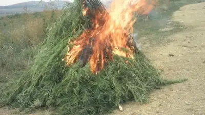 Бердюжье медиа, фото - Новости Zakon.kz от 03.10.2018 18:00